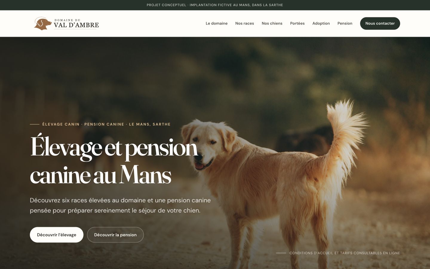 Aperçu du site fictif Domaine du Val d’Ambre, élevage et pension canine